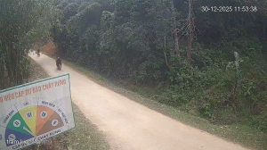 Caméra IP - Vietnam