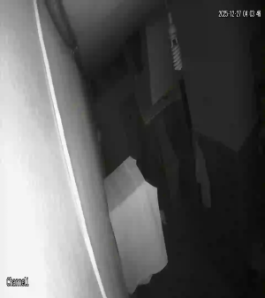 Caméra IP - Tunisie