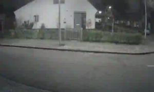 Caméra IP - Netherlands