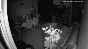 Caméra IP - Francia