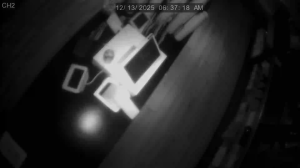 Caméra IP - États-Unis d'Amérique