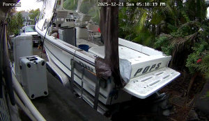 Caméra IP - Vereinigte Staaten von Amerika