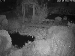 Caméra IP - Germany