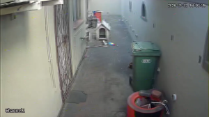 Caméra IP - Afrique du Sud