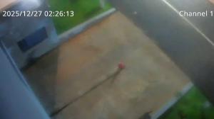 Caméra IP - Sudafrica