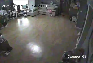 Caméra IP - South Korea