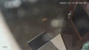 Caméra IP - Netherlands