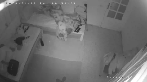 Caméra IP - Tunisie