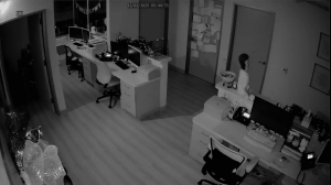 Caméra IP - Vereinigte Staaten von Amerika