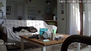 Caméra IP - Türkei