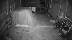 Caméra IP - Allemagne