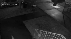 Caméra IP - Stati Uniti d'America