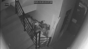 Caméra IP - Corea del Sud