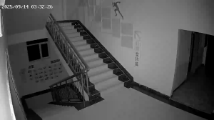 Caméra IP - 중국