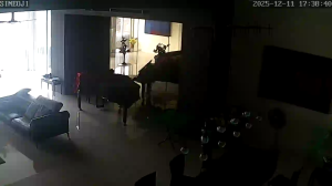 Caméra IP - États-Unis d'Amérique