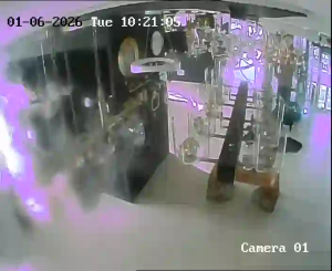 Caméra IP - Türkei