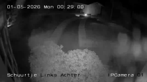 Caméra IP - Netherlands