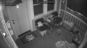 Caméra IP - États-Unis d'Amérique