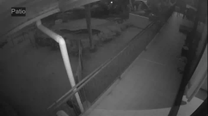 Caméra IP - Sudafrica