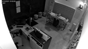 Caméra IP - Royaume-Uni