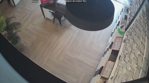 Caméra IP - United States of America