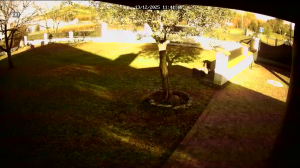 Caméra IP - Philippines