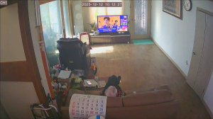 Caméra IP - Corée du Sud