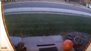 Caméra IP - United States of America