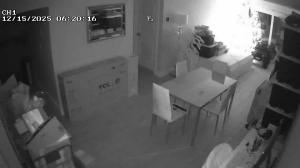 Caméra IP - United States of America