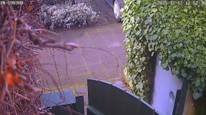 Caméra IP - Allemagne