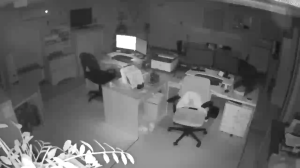 Caméra IP - Bermudes