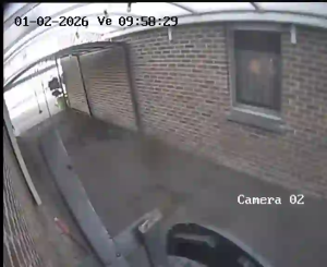 Caméra IP - Belgium