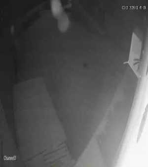 Caméra IP - Russian Federation