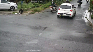 Caméra IP - Vietnam
