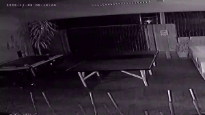 Caméra IP - Dänemark