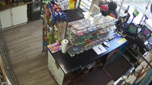 Caméra IP - United States of America