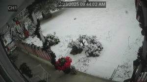 Caméra IP - Stati Uniti d'America