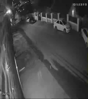 Caméra IP - Südafrika