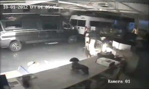 Caméra IP - Österreich