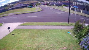 Caméra IP - Neuseeland