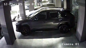 Caméra IP - Georgia