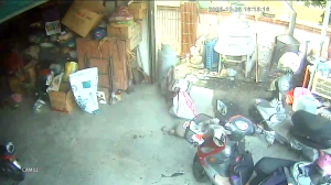 Caméra IP - Taiwán