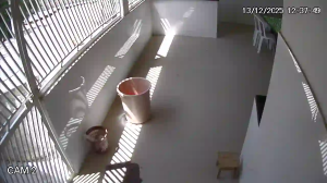 Caméra IP - Brésil