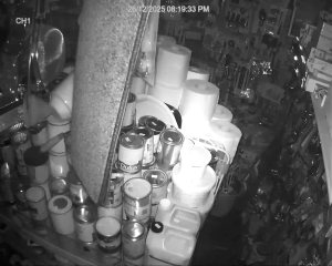 Caméra IP - Vereinigtes Königreich