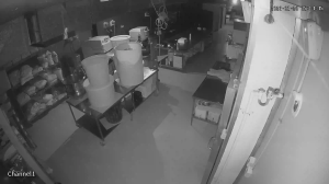 Caméra IP - Australia