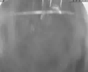 Caméra IP - Vietnam