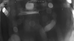 Caméra IP - United States of America