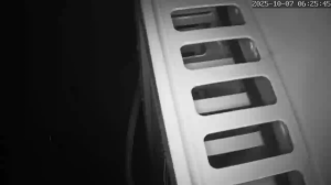 Caméra IP - Giappone