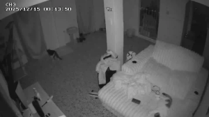 Caméra IP - Puerto Rico