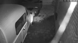 Caméra IP - Paesi Bassi